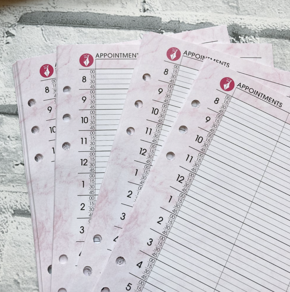 Princess Planning Beauty Hair Nail Appointment Inserts
